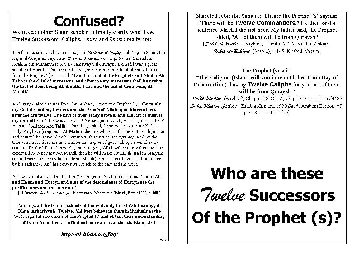 Twelve Successors - In a Nutshell
