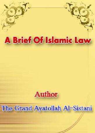 Brief Islamic Laws