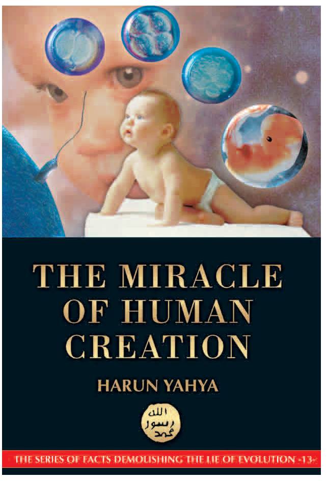 The Miracle Of Human Creation