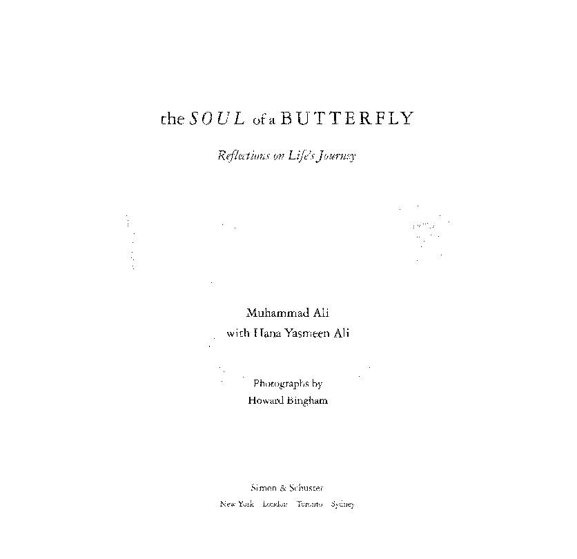 The Soul of A Butterfly