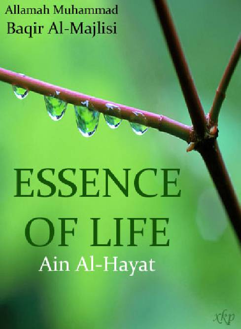 Essence Of Life - Ain Al Hayat