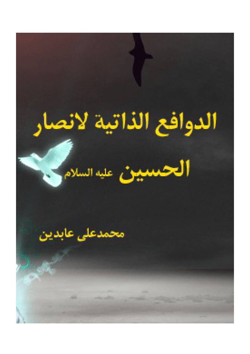  AL Ansar E Imam Hussain (as)