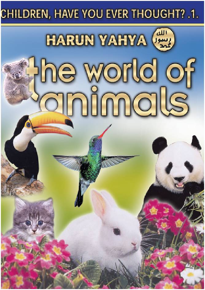 The World Of Animals