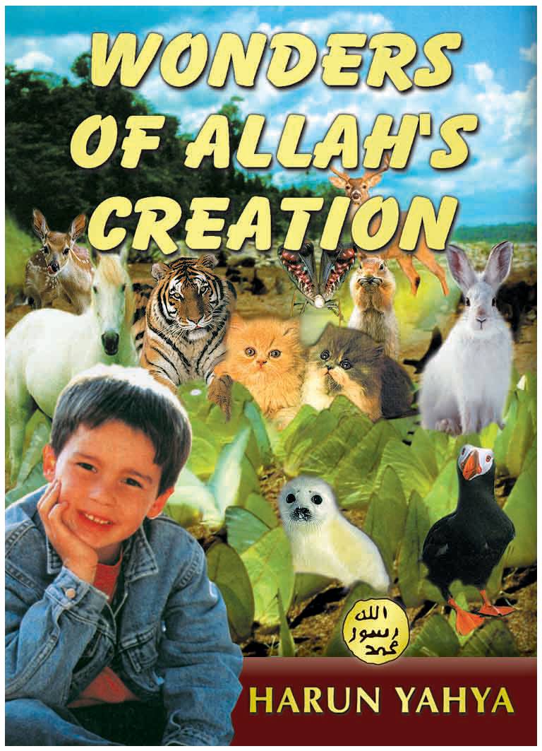 Wonders Of Allah Creation