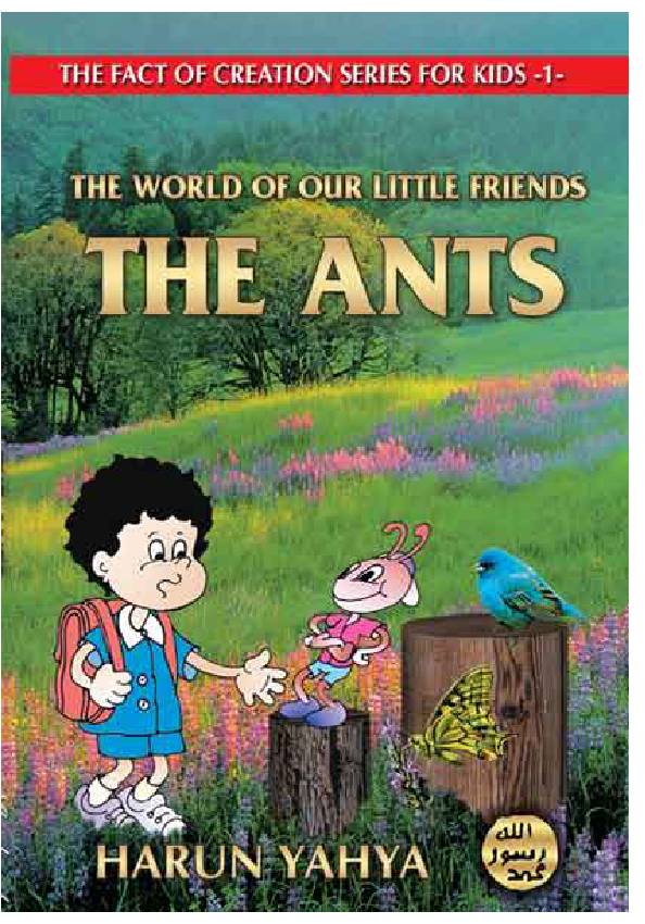 World Of Our Little Friends Ants