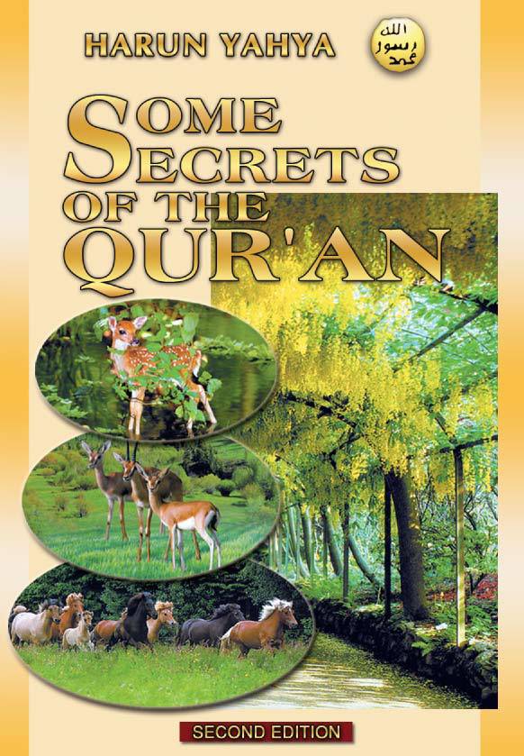 Some Secrets of the Quran