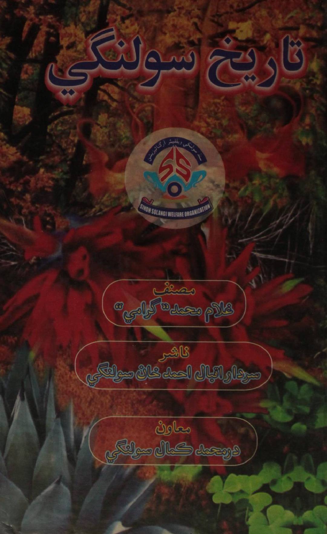 Tareekh Solangi (Sindhi) 