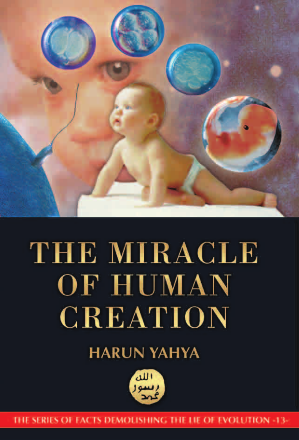 The Miracle Of Human Creation