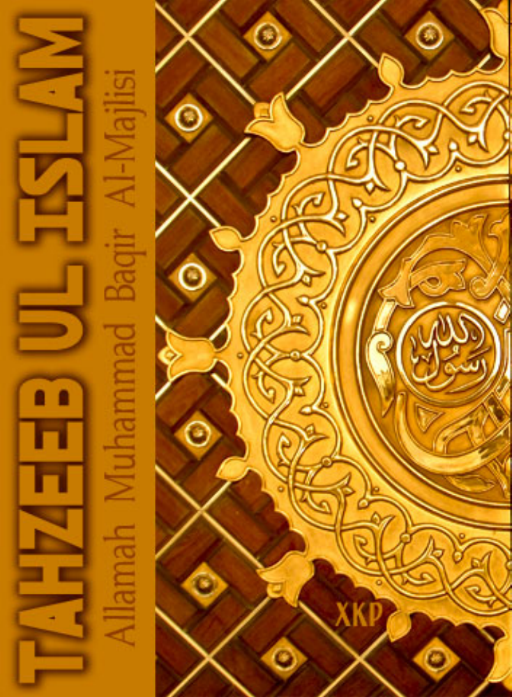 Tahzeeb Ul Islam