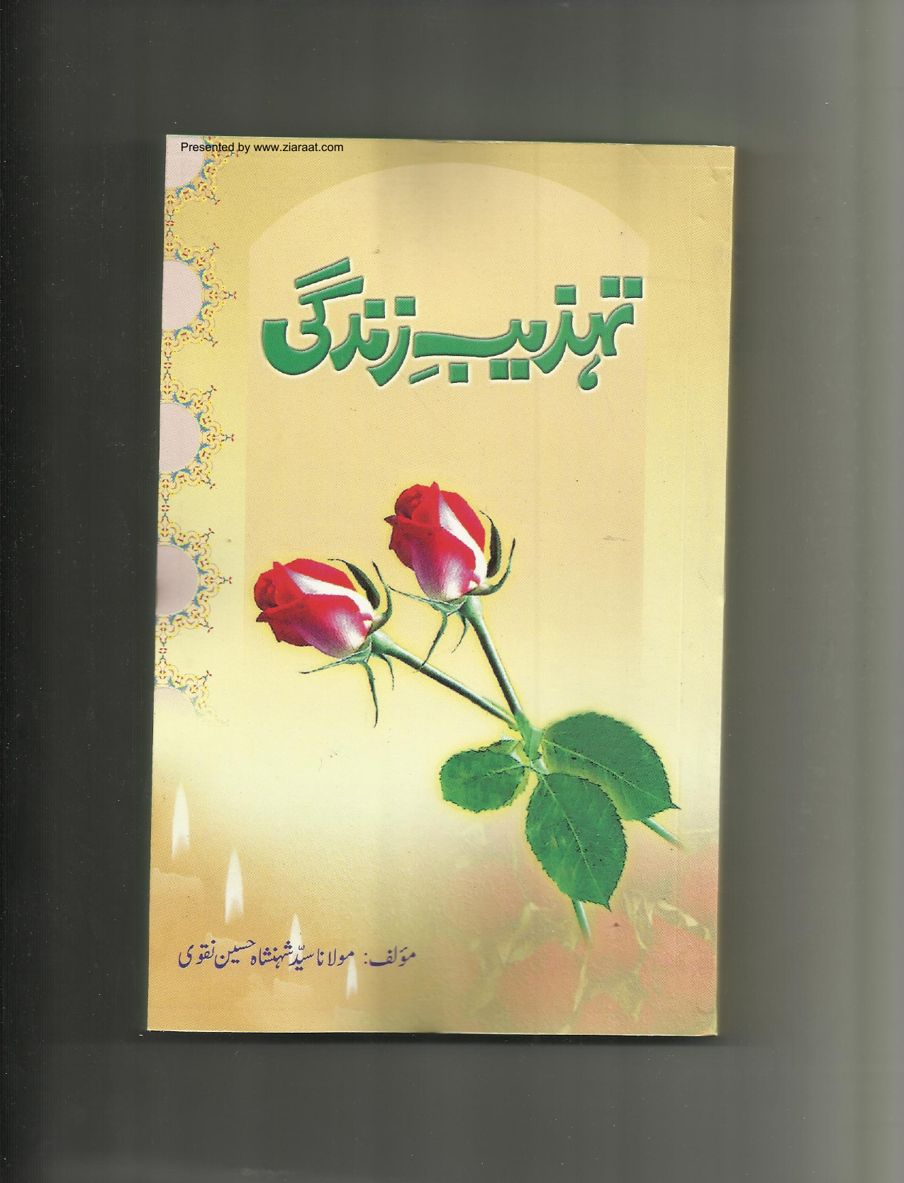Tehzeeb E Zindagi