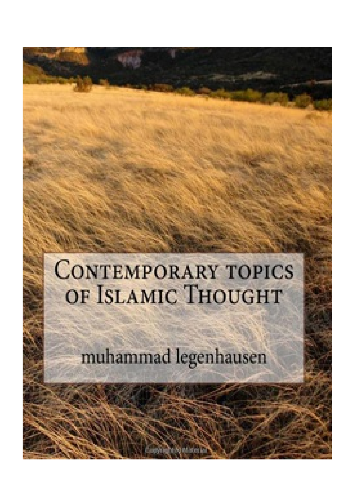 Contemporary Topics Of Islamic Thought
