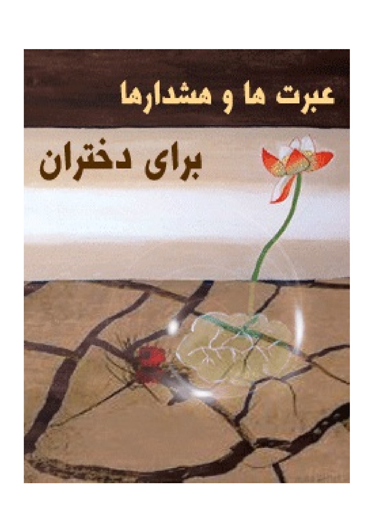 Ibrat Ha Wa Hoshdar Ha Baray E Dokhtaran