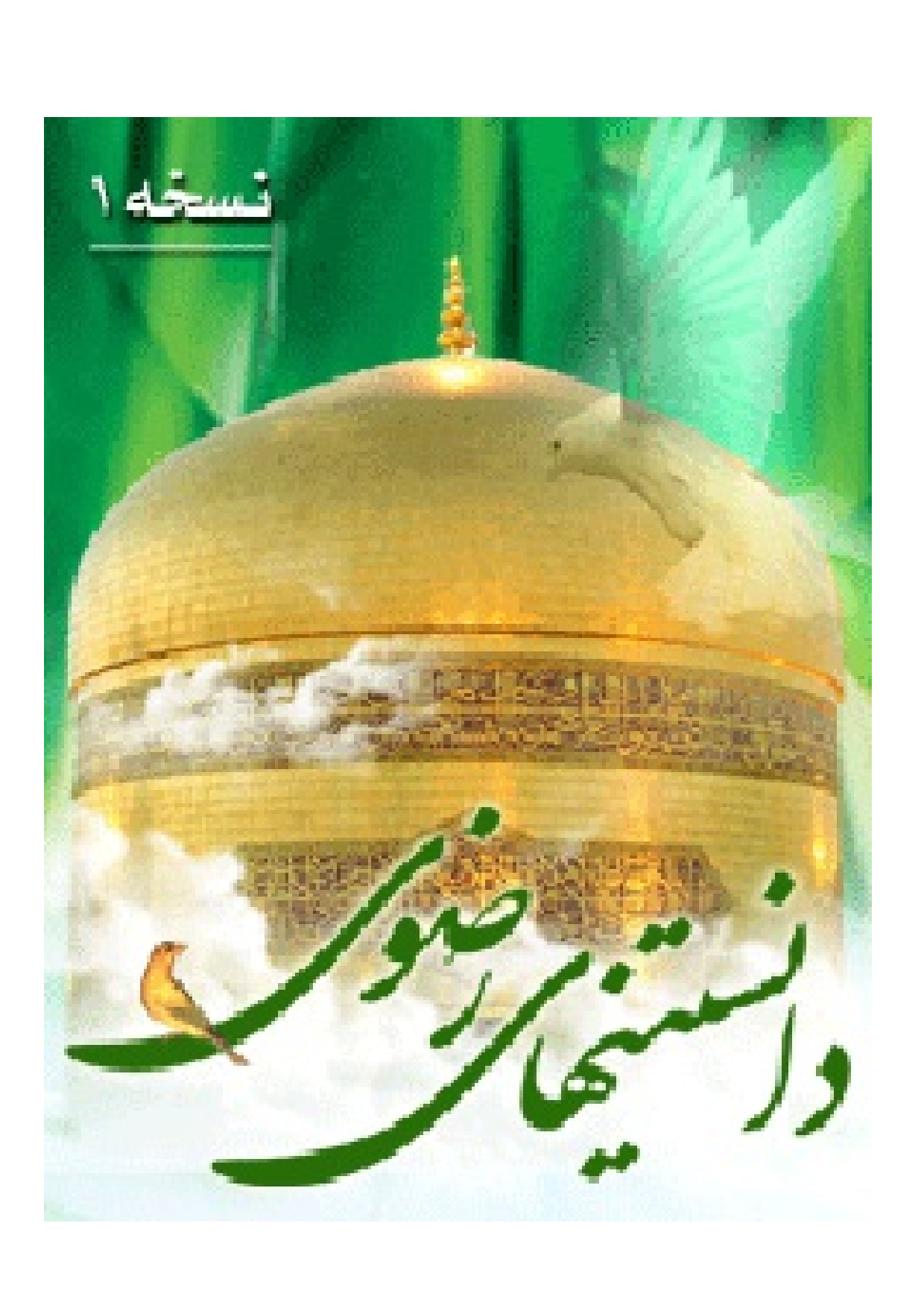 Danestan E Hay Imam Raza (as)