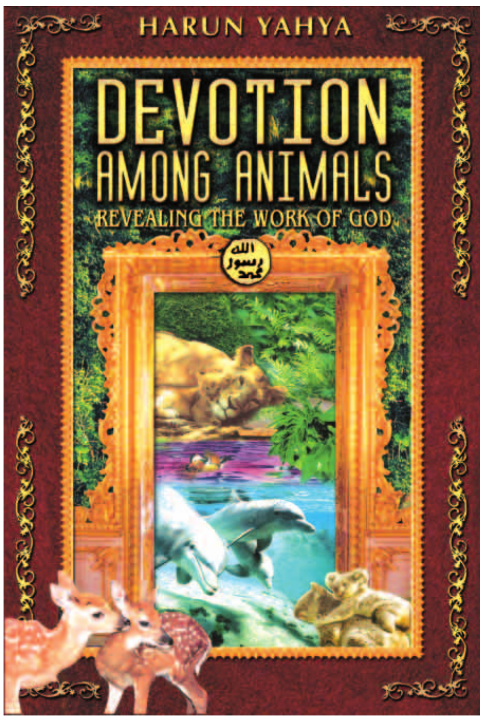 Devotion Among Animals Revealing The Work Of God