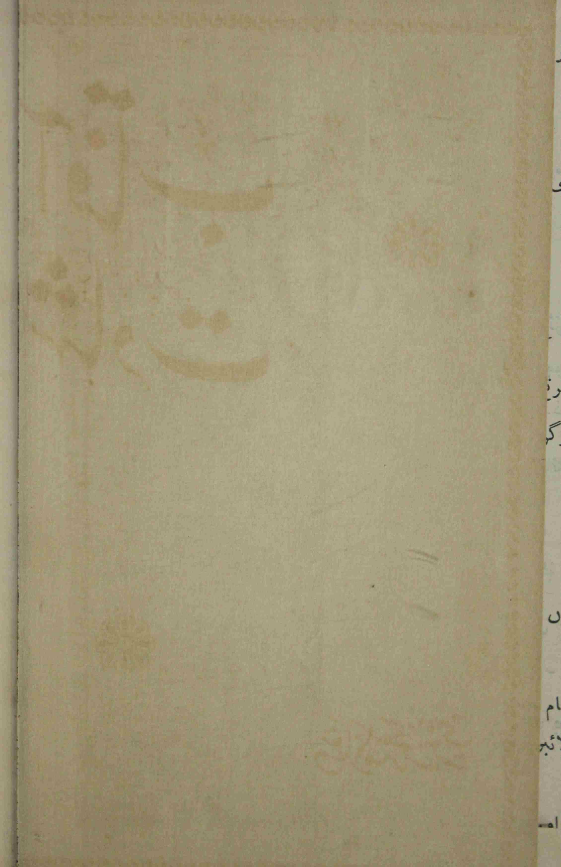 مناظرہ مصر