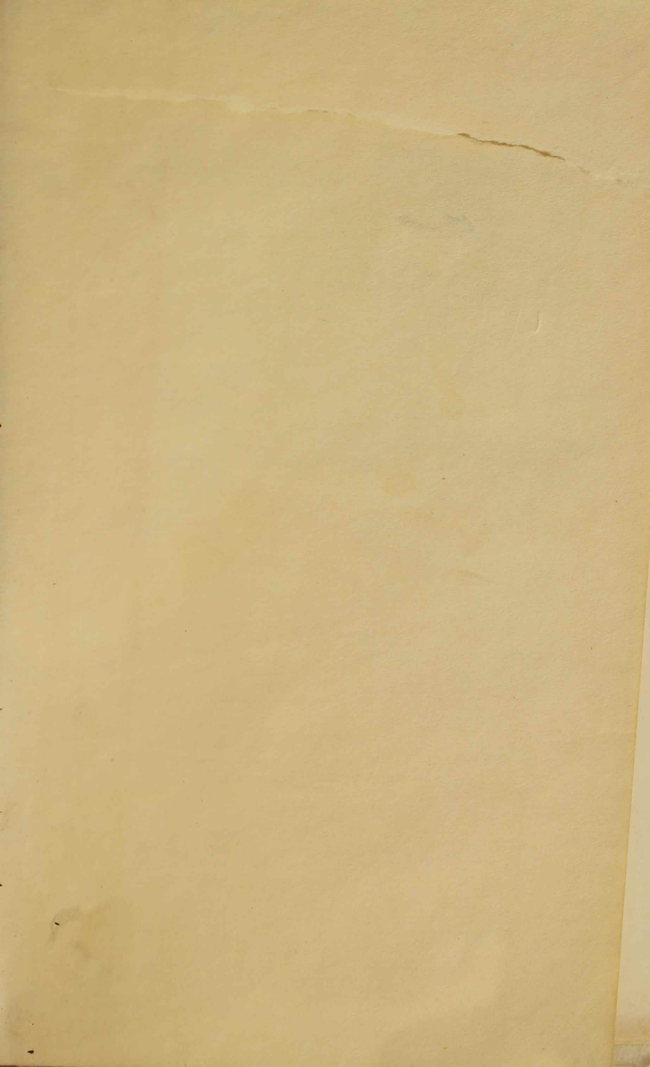 Syed al-Tareekh