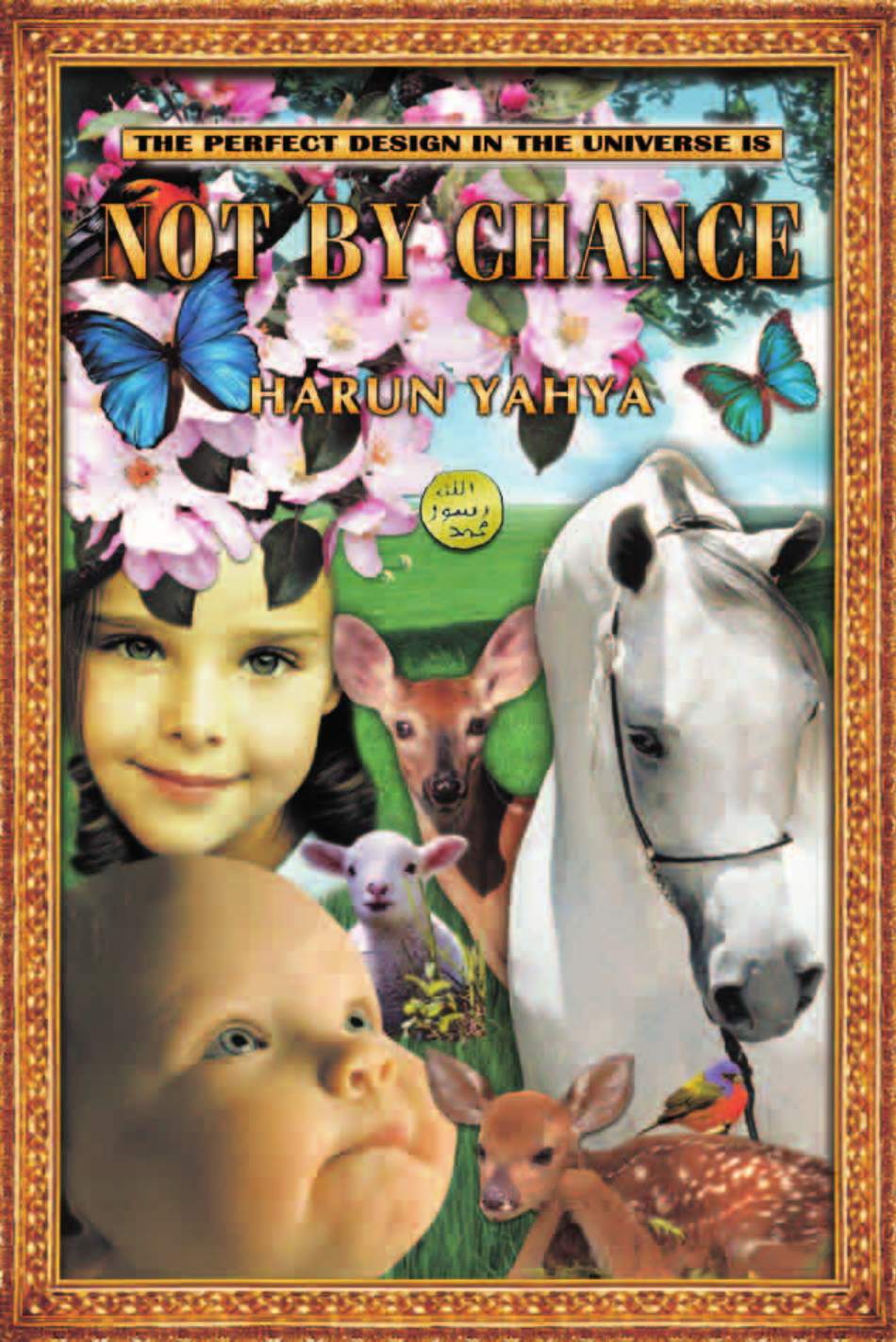Not By Chance