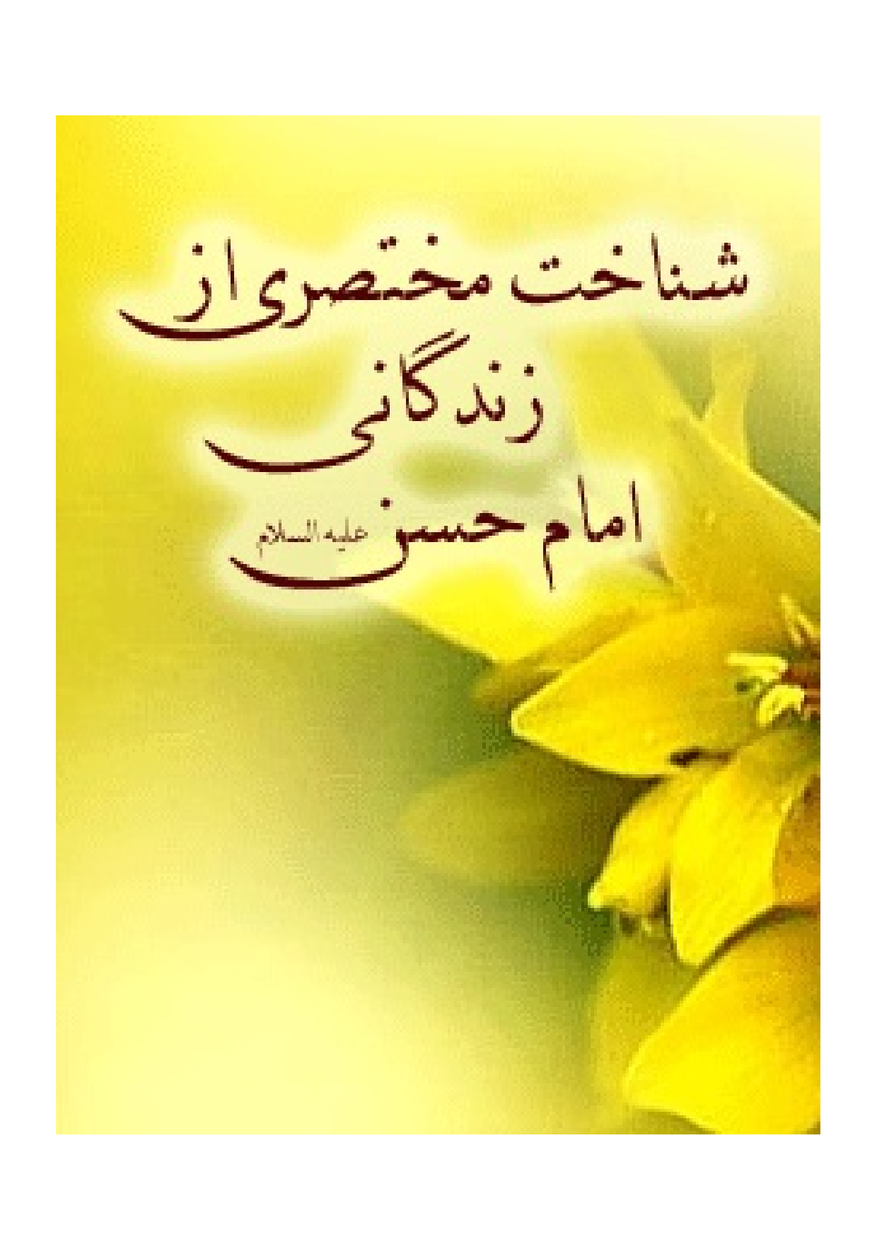Shenakht Mukhtasari Az Zendagani E Imam Hassan (as)