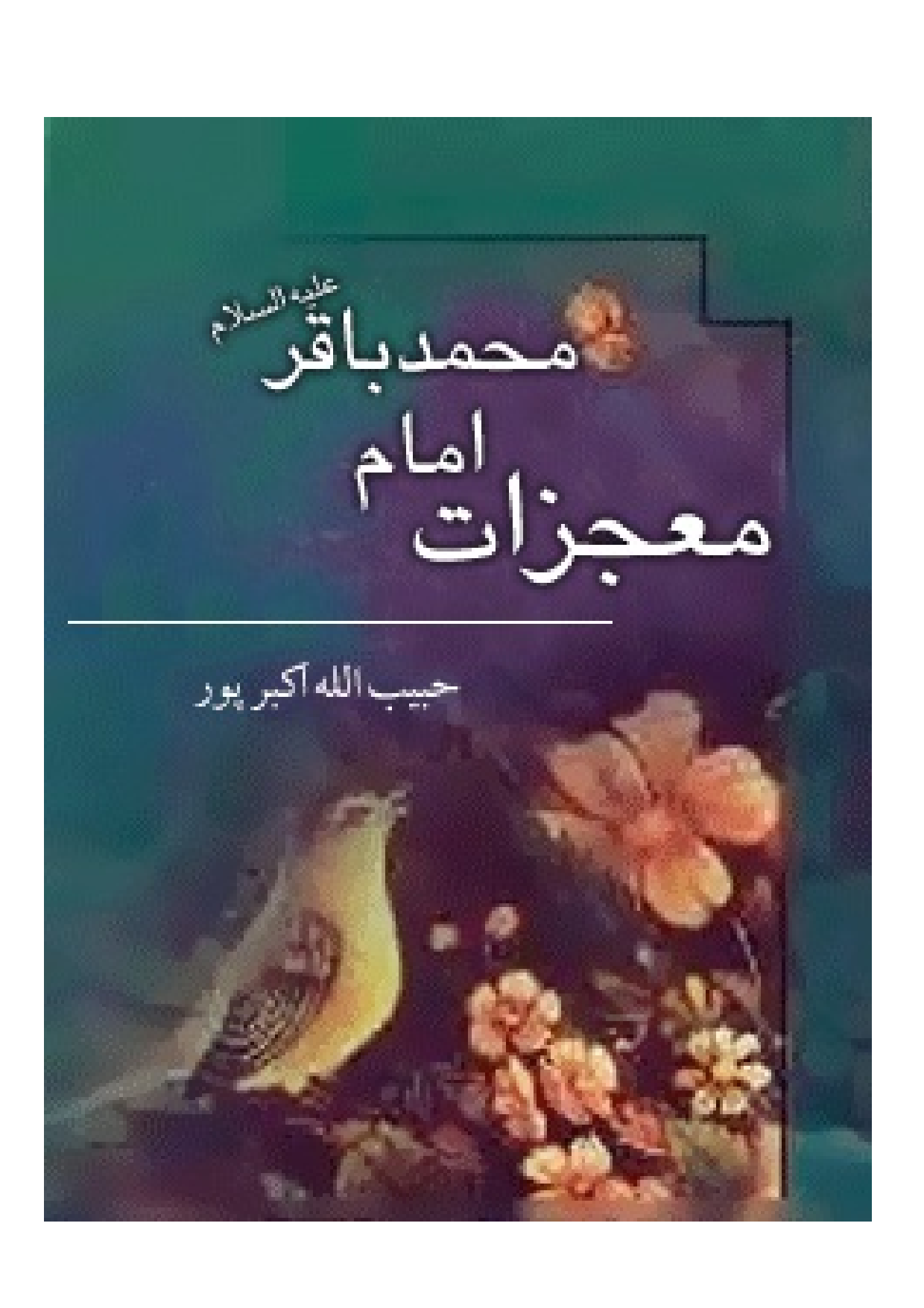 Mojezat E Imam Baqir (as)